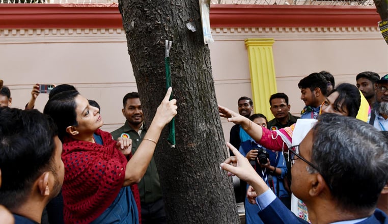 থার্টি ফার্স্ট নাইটে আতশবাজি ও পটকা ফোটানো থেকে বিরত থাকার আহ্বান পরিবেশ উপদেষ্টার থার্টি ফার্স্ট নাইটে আতশবাজি ও পটকা ফোটানো থেকে বিরত থাকার আহ্বান পরিবেশ উপদেষ্টার